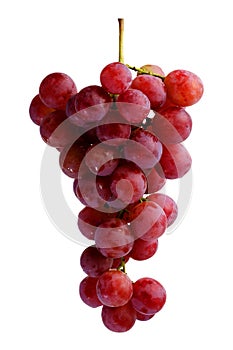 Bunches of fresh red grapes