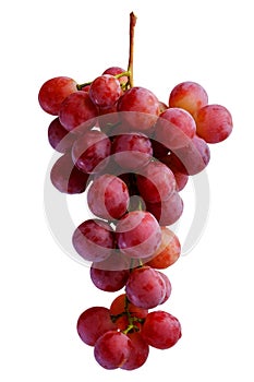 Bunches of fresh red grapes