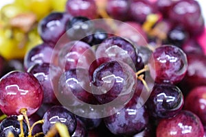 Bunches of fresh ripe red grapes . Red wine grapes.