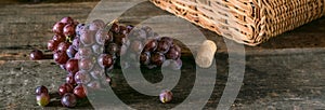 Bunches of fresh ripe red grapes on a wooden textural surface. Branch of pink grapes. Red wine grapes. dark grapes. Still life of