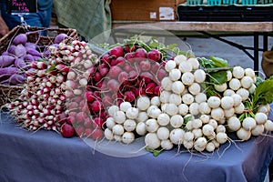 Bunches of freshly harvested radishes lie stacked on a table at a farmers market