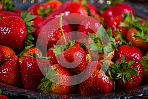 Bunches of freshly harvested ripe organic strawberries.