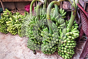 Bunches of green bananas