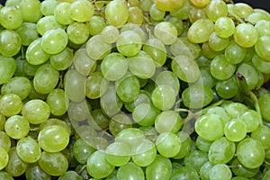 Bunches with green grapes
