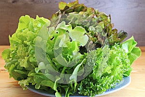 Bunches of Green Oak, Red Oak and Frillice Iceberg Lettuces