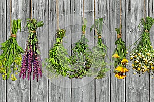 Bunches of hanging flower