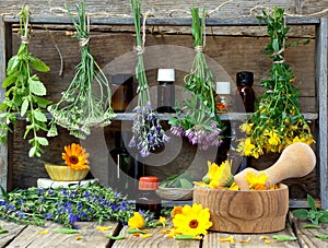 Bunches of healing herbs - mint, yarrow, lavender, clover, hyssop, milfoil, mortar with flowers of calendula and bottles,