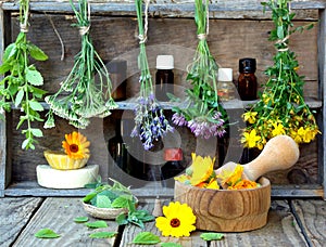 Bunches of healing herbs - mint, yarrow, lavender, clover, hyssop, milfoil, mortar with flowers of calendula and bottles,