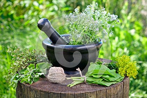 Bunches of healing herbs, mortar and pestle on stump. photo