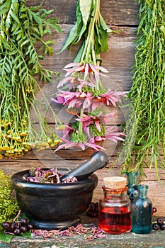 Bunches of healing herbs on wooden wall, black stone mortar and