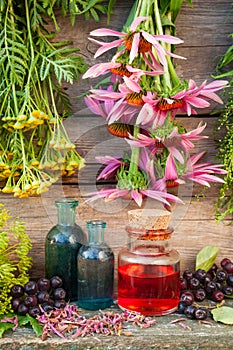 Bunches of healing herbs on wooden wall and glass bottles