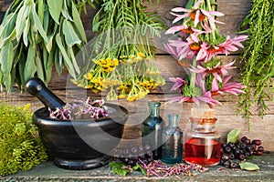 bunches of healing herbs on wooden wall, mortar, bottles and berries