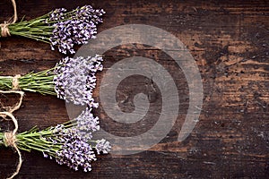 Bunches of healthy fresh aromatic lavender