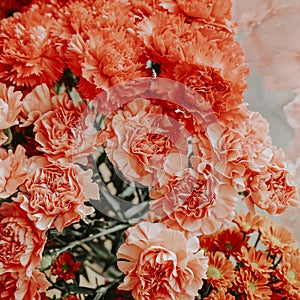 Bunches of orange flowers in a flower shop