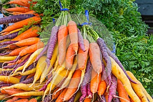 Bunches Organic Rainbow Carrots photo