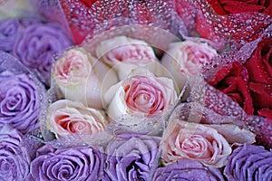 Bunches of pink fresh roses and purple roses are around with the droplet