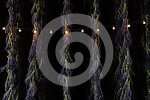 Bunches of Purple Lavender Hanging to Dry with String Lights