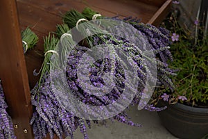 Bunches of Purple Lavender on Wood Shelf For Sale