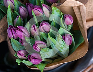 Bunches of purple tulip wrapped in craft paper for sale. Fresh spring lilac flowers. Colorful florist display.