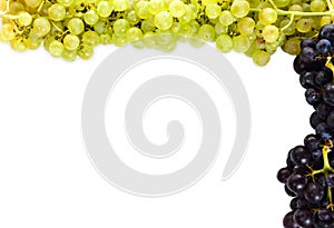 Bunches red white grapes isolated