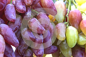 Bunches of ripe green grapes for cooking wine and food.