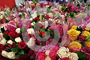 Bunches of roses in red, pink, white, and yellow for Valentine`s Day Sale Hundreds of flowers