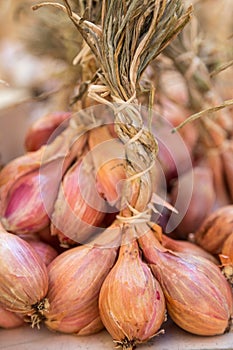 Bunches of Shallots