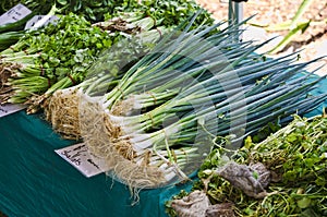 Bunches of Shallots on Market stall photo