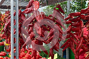 Bunches of Spicy Red Peppers For Sale at Market photo