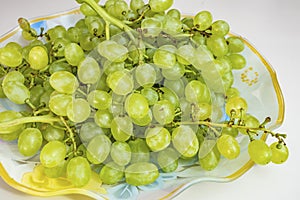 Bunches of white grapes on a plate