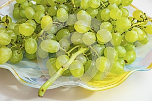 Bunches of white grapes on a plate