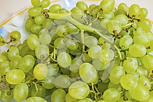 Bunches of white grapes on a plate