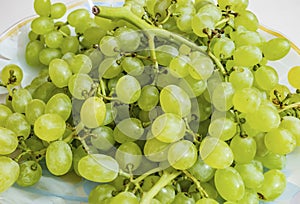 Bunches of white grapes on a plate