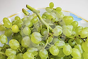 Bunches of white grapes on a plate