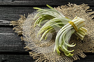 Bunches of young sprouts ramson