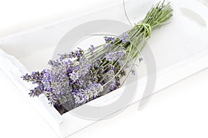 Bundeled bunch of lavender stems on a white tray.