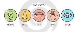 Bundle of 5 senses - hearing, smell, taste, touch, vision. Set of human sensory organs drawn with outlines inside