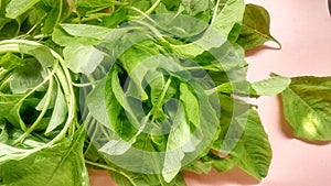 Bundle amaranthus spinach is a plant for consumption by its leaves as a green vegetable