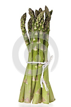 Bundle of Asparagus