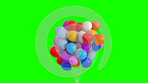 Bundle of Balloons Flies Up and Lingers on the Green Screen. Beautiful 3d Animation. Ultra HD 4K 3840x2160