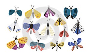 Bundle of bright colored cartoon moths isolated on white background. Set of exotic nocturnal flying insects with photo