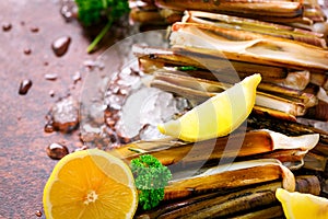 Bundle, bunch of fresh razor clams on ice, dark concrete background, lemon, herbs. Copy space, top view.