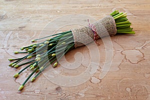 Bundle of chives, bound in burlap, low diagonal view on weathered wood background, copy space