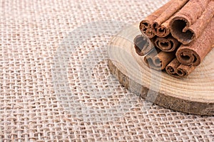 bundle of Cinnamon sticks on canvas