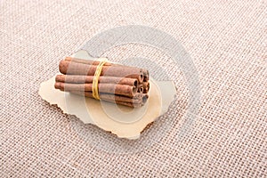 bundle of Cinnamon sticks on canvas