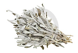 Bundle of dried sage salvia officinalis herb