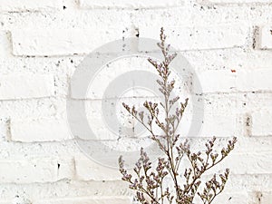 Bundle of dry lavender at white brick wall