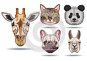 bundle of five animals domestics and wild icons