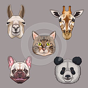bundle of five animals domestics and wild set icons