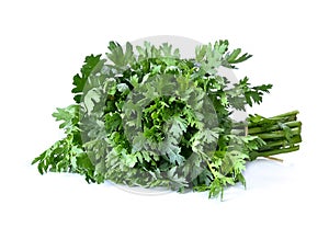 Bundle of fresh edible chrysanthemum greens glebionis coronaria or garland chrysanthemum isolated on white background